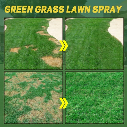 🌱GREEN GRASS & PEST CONTROL LAWN SPRAY