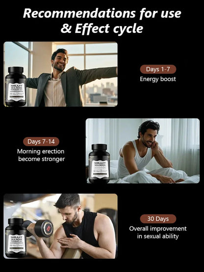 Hot Sale 60 Shilajit Capsules